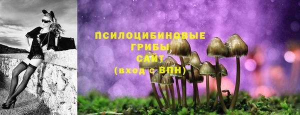 прущая мука Армянск