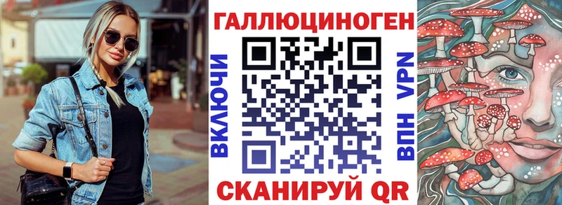 дарнет шоп  Новомосковск  Псилоцибиновые грибы Cubensis 
