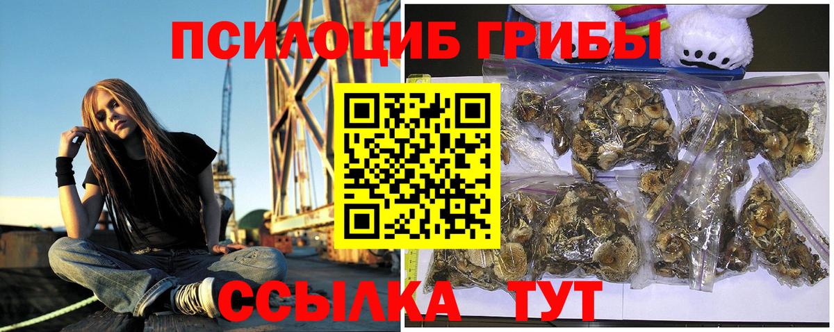 Псилоцибиновые грибы MAGIC MUSHROOMS Новомосковск
