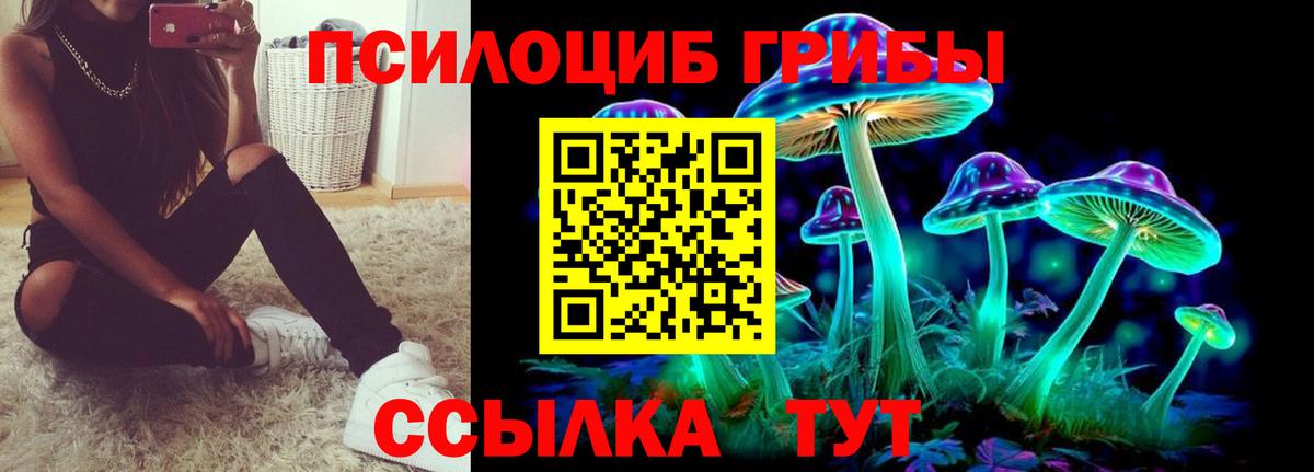 Новомосковск  Псилоцибиновые грибы мицелий  Вход с VPN 